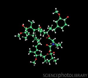 Молекула трициклического макролида рапамицина